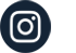 in-icon